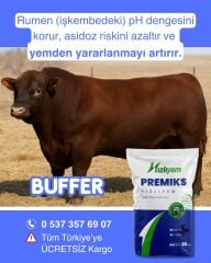 HızlıMix Buffer